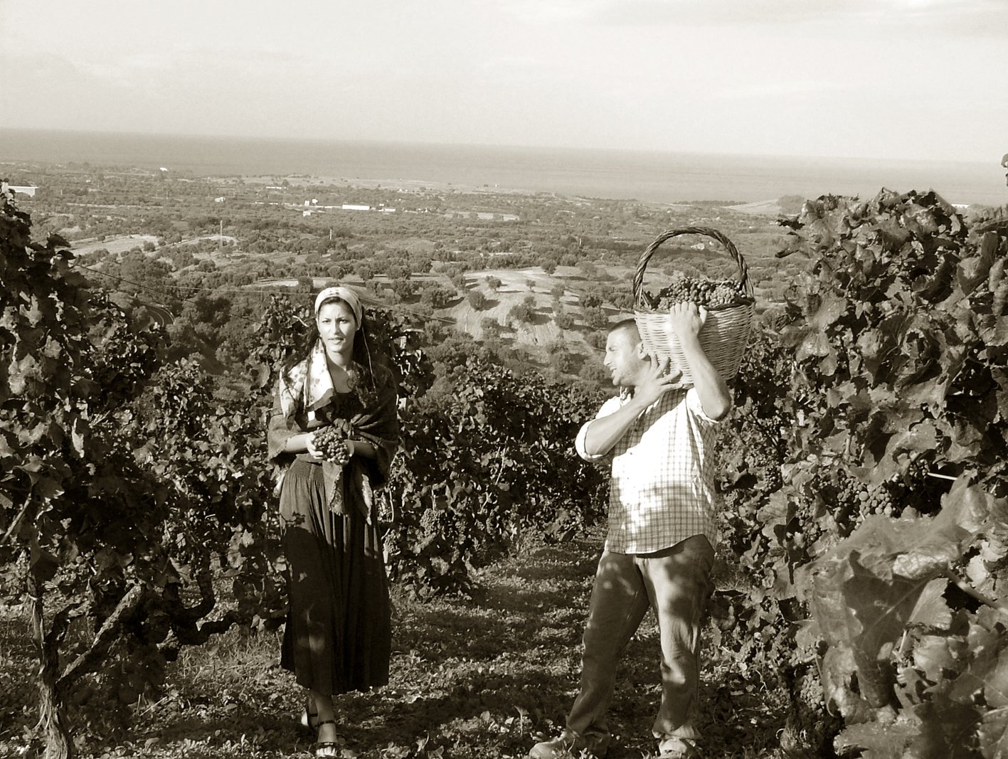 Ippolito Kalabrien, Ciro